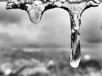 Close-up of icicles on water surface