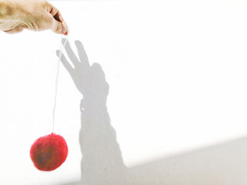 Shadow of person holding apple