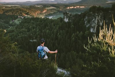 Rear view of man on mountain against trees
