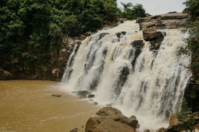 Scenic view of waterfall in forest