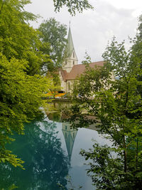 Reflection of trees and building on lake