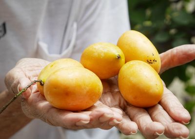 Midsection of man holding fruits