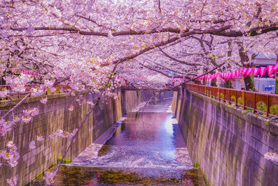 Bridge over river