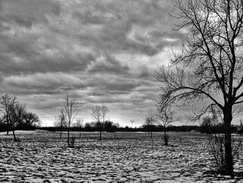 Bare trees by lake against cloudy sky