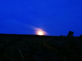 Scenic view of silhouette field against clear sky at night