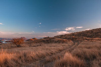 Scenic view of landscape against sky