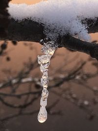 Close-up of water in winter
