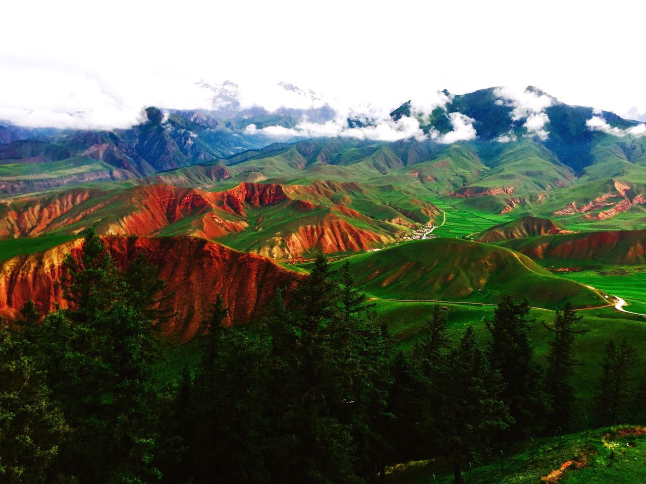 mountain, tranquil scene, tranquility, scenics, landscape, beauty in nature, mountain range, nature, non-urban scene, idyllic, tree, remote, grass, sky, physical geography, green color, growth, field, geology, day