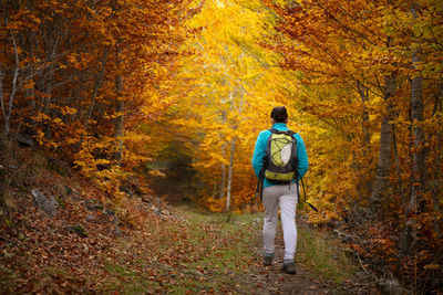 Woman walking through a spectacular forest in autumn