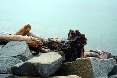 Stack of rocks by sea against sky