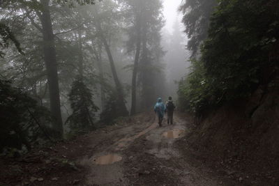 Rear view of people walking on footpath in forest