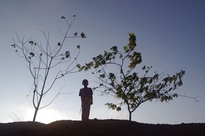 Rear view of man standing by tree against sky