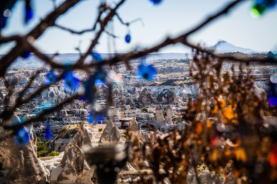 Panoramic shot of plants and buildings against sky