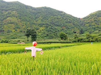 Scarecrow in farm against mountains