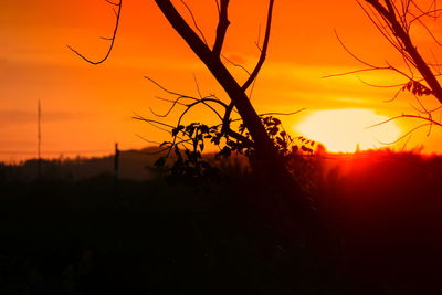 Silhouette plants on field against romantic sky at sunset