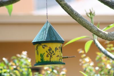 Low angle view of hanging from tree branch