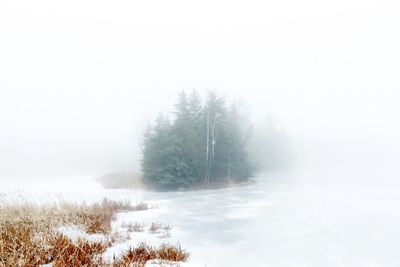 tranquil scene