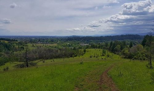 Scenic view of grassy field against sky