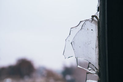 Close-up of broken glass against sky