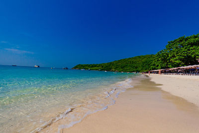 Scenic view of beach against clear blue sky