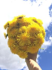 Low angle view of hand holding yellow flower against sky