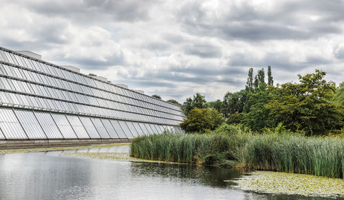 Plants by river against sky