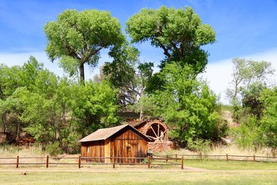 House amidst trees on field against sky