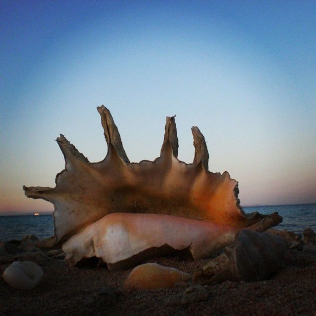 sea, beach, water, clear sky, horizon over water, shore, tranquility, rock - object, tranquil scene, beauty in nature, scenics, nature, sand, copy space, rock formation, sky, rock, sunset, idyllic, coastline