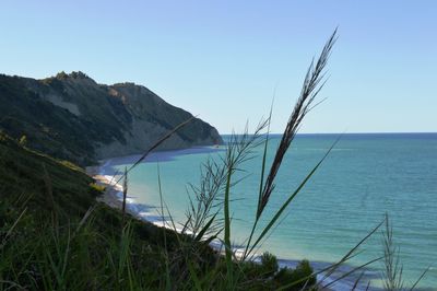 Scenic view of sea against clear sky