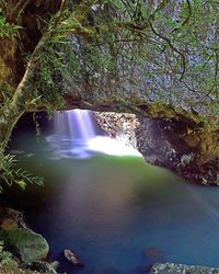 View of waterfall in forest