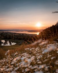 Scenic view of sea against sky during sunset