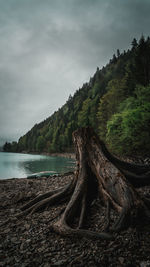 Scenic view of river against sky