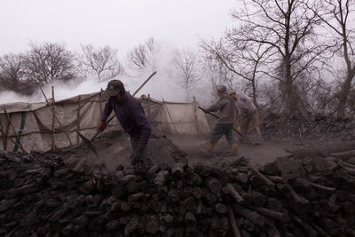 Workers working at lumber industry