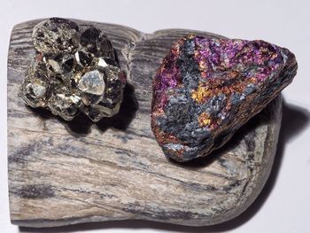 Petrified wood with pyrite and lead on white background