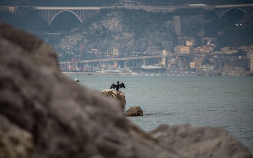 View of bridge over sea