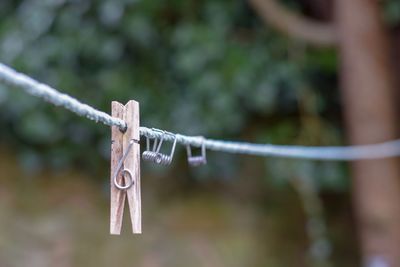 Close-up of clothespin on clothesline against tree