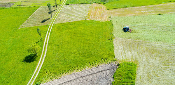 High angle view of agricultural field