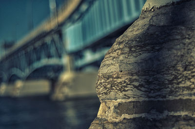 Close-up of leaf against bridge