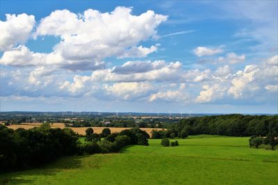 Scenic view of field against sky