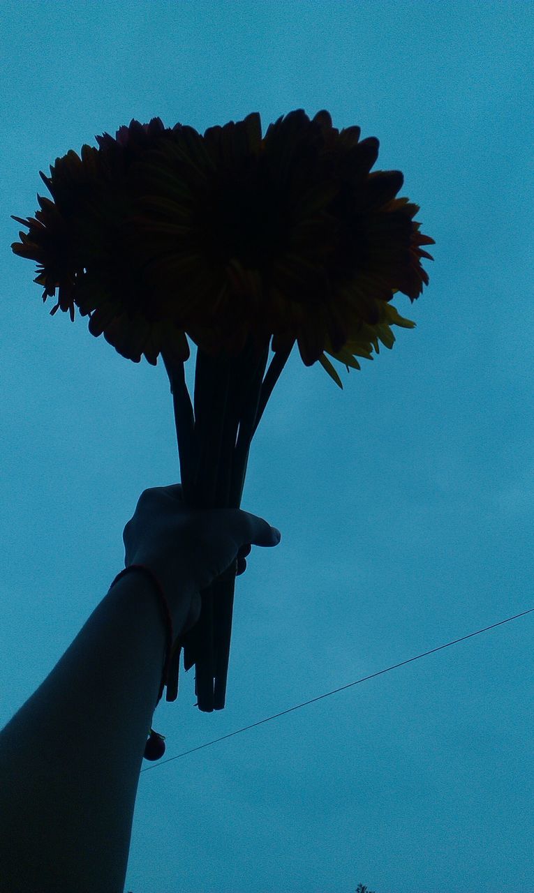 low angle view, blue, sky, person, part of, one person, silhouette, cropped, day, clear sky, nature, unrecognizable person, outdoors, close-up, holding, sunlight, human finger, dusk