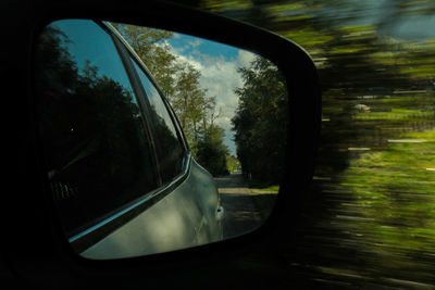 Reflection of trees on side-view mirror