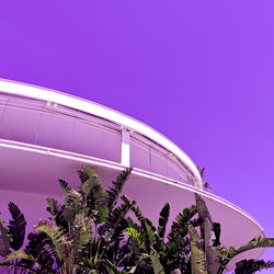 Low angle view of palm trees against blue sky