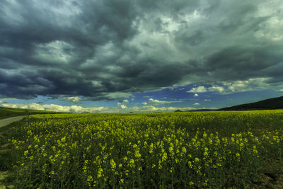 Scenic view of field against cloudy sky