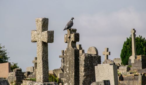 Birds perching on cemetery against sky