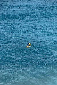 High angle view of swimming in sea