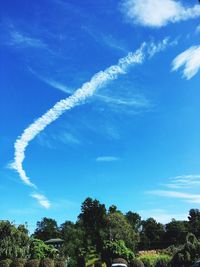 Low angle view of trees against blue sky