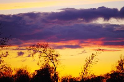 Silhouette trees against dramatic sky during sunset