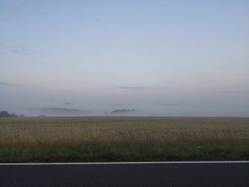 Scenic view of field against sky