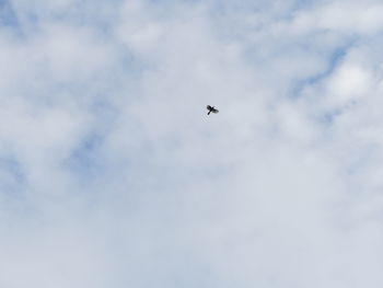 Low angle view of airplane flying in sky