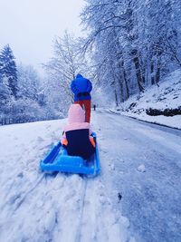 Rear view of boy on snow covered land